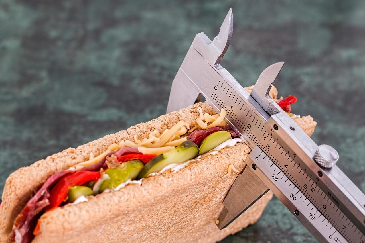 diet, vernier, sandwich, calorie counter, weight loss, health, food, lifestyle, slimming, snack, protein, nutrition, fitness, healthcare, nutritionist, dietician, dietitian, obesity, wellness, eat, measurement, weightloss, overweight, health conscious, diet, diet, diet, weight loss, weight loss, weight loss, weight loss, weight loss, health, health, health, fitness, fitness, obesity